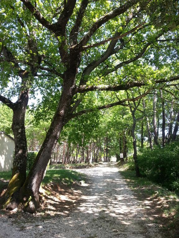 Camping Parc Saint Sauvayre Vagnas Eksteriør bilde